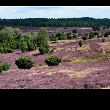 Vessens Hoff Hotel 3*