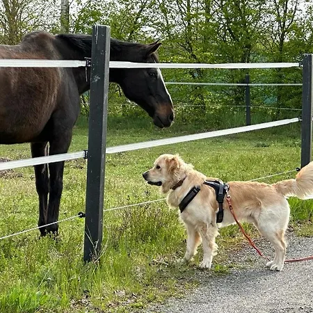 Hotel Vessens Hoff 3*